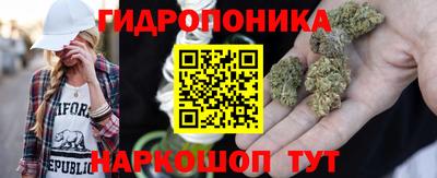 прущие грибы Заводоуковск
