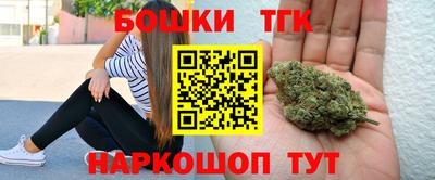 прущие грибы Заводоуковск