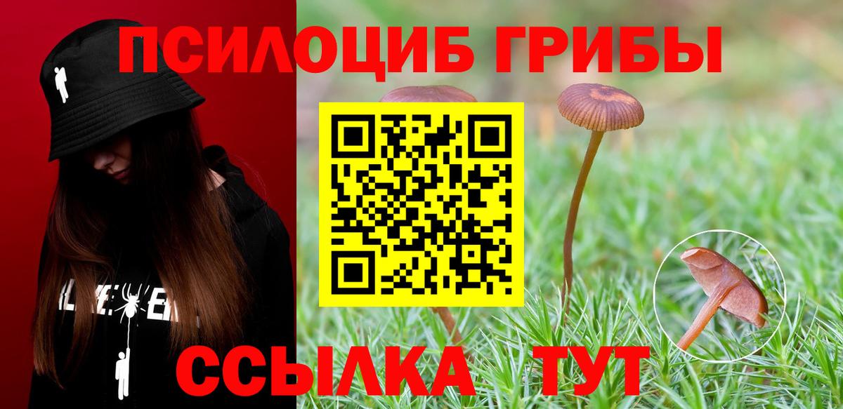 Галлюциногенные грибы Cubensis Лабытнанги